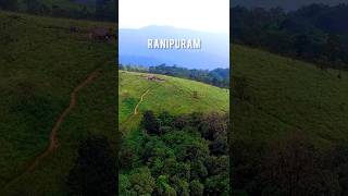 A Trekkers Paradise ranipuram hillstation kasaragod ootyofkerala shorts godsowncountrykerala [upl. by Tonneson]