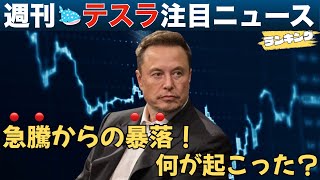 【97 週刊テスラ】テスラの株価が急騰後の暴落📉 一体何が起こったのか？今週の株価とニュースをまとめて振り返り [upl. by Yruy520]