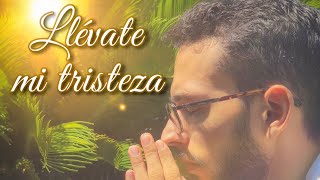 Llévate mi tristeza  Iván García cover [upl. by Annuhsal932]