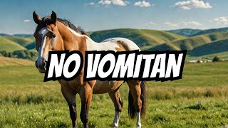 Por qué los caballos NO pueden vomitar ¡Descúbrelo [upl. by Ial]