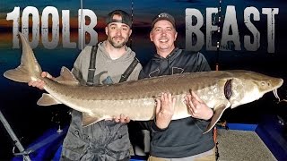 Catching a 100lb Lake Sturgeon on the Rainy River  Fishing Prehistoric Fish [upl. by Shult345]