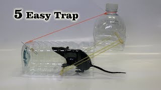 5 Easy MouseRat Trap [upl. by Anitneuq]