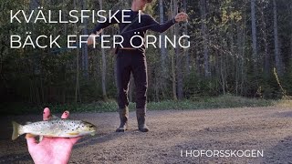 Öringsjakt i liten bäck i Hofors [upl. by Nancee]