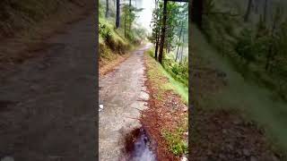 nathia Gali walk track [upl. by Kaden422]