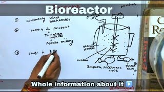 Bioreactor in hindi ll biology ll [upl. by Ellecrag634]