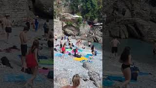 Cinghiali tra i turisti nella spiaggia di San Fruttuoso di Camogli il video diventa virale [upl. by Winna]