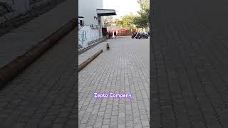 Zepto Company Bangalore vlogwithsajud shorts bangalorecompany travel viral [upl. by Leo]