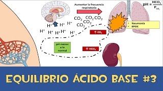 Equilibrio ácido base 3 💉 Amortiguador respiratorio y renal [upl. by Timmie]