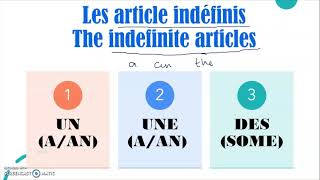 Indefinite Articles in French  CBSE Grammar [upl. by Ocire949]