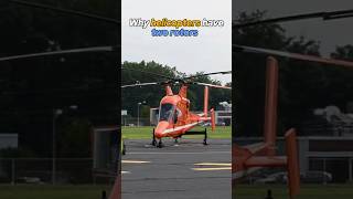 Why helicopters have two rotorsshorts [upl. by Lucias213]