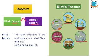 What are the Biotic Factors of Ecosystem  Biotic Factors అంటే ఏమిటి  La Excellence [upl. by Burlie]