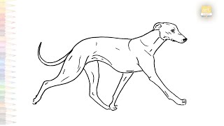 Whippet dogs drawing easy  Art tutorial  How to draw A Whippet dog STEP BY STEP  artjanag [upl. by Swope]