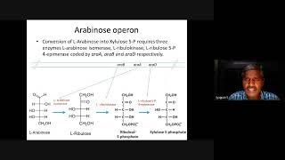 Molecular biology Arabinose operon [upl. by Teragram396]