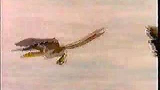 Dinosaur Animation 5 From Dinosaur to bird [upl. by Shull]