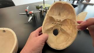 Skull Sphenoid and Ethmoid Bone and their bone markings [upl. by Anilave]