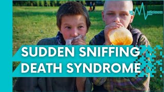 Sudden Sniffing Death Syndrome [upl. by Arnaud]