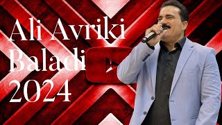 Ali avriki new dawat baladi 2024 [upl. by Ozzy]