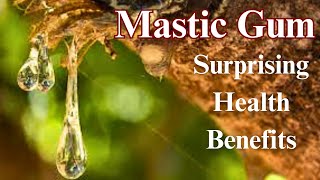 The 10 Surprising Health Benefits of Mastic Gum [upl. by Ecissej]