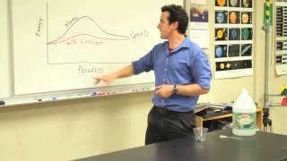 What Are Two Ways a Catalyst Affects a Chemical Reaction  Physics Chemistry amp More Sciences [upl. by Arrais]