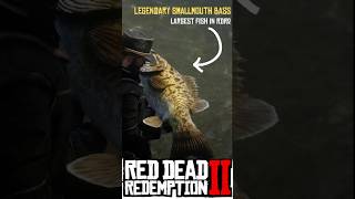 Biggest fish in Red Dead Redemption 2  Legendary Smallmouth Bass  RDR2  rdr2 gaming [upl. by Tega]