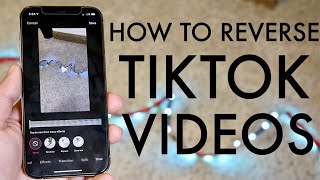 How To Reverse Video On TikTok [upl. by Haron347]