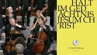 JS Bach  Aria quotMein Jesus ist erstandenquot from Cantata BWV 67 [upl. by Haelem]