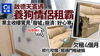 啟德天寰業主遇租霸欠租四個月 收樓後驚見變「廢墟」：好心寒 [upl. by Barabas]