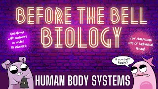 Human Body Systems Before the Bell Biology [upl. by Krongold470]