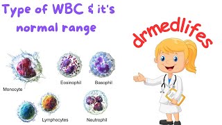 Types of wbc  types of leucocytes  different types of white blood cells normal range [upl. by Shanleigh]