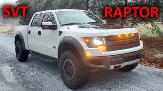 I Bought A Raptor With A V8  2014 Ford F150 SVT Raptor Review [upl. by Mehetabel]