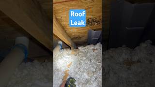 Active Roof Leak homeinspection roofing roof leak roofleaks [upl. by Raeann73]