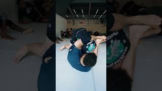 bjj jiujitsu jiu grappling nogi mma ufc jiujitsufighter oss bjjmotivation [upl. by Chao]