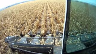 Gleaner L2  Corn Harvest 2012 [upl. by Mano600]