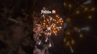 Pataki 🎇Dipawali 2024 😍 crakers dipavali fastival shorts viralvideo shortsfeed vcshashank [upl. by Lief]