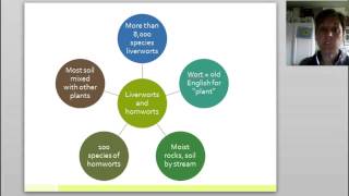 Vascular and Non Vascular Plants [upl. by Lrem]