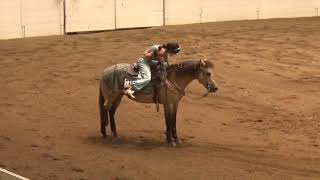 2019 Quarter Horse Congress Freestyle Reining Karla June Switzer A Spark of Sunshine mp4 [upl. by Latt]