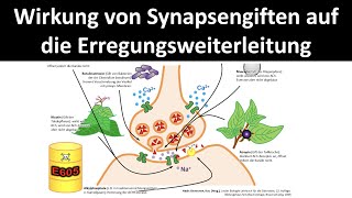 Wirkweise von Synapsengiften  Nervengiften auf die Erregungsweiterleitung Neurobiologie 55 [upl. by Safoelc]