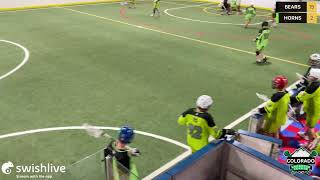 Colorado Lacrosse League BEARS VS HORNS [upl. by Andrus]