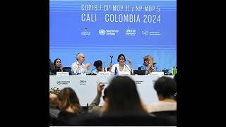 UN biodiversity conference wraps up in Cali Colombia [upl. by Bishop303]