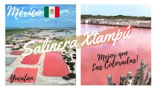 Alternativa a LAS COLORADAS  Conoce la Salinera XTAMPÚ  Lagunas Rosadas en Yucatan México [upl. by Annirac]