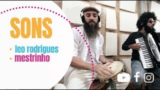 Sons  LÉO RODRIGUES e MESTRINHO [upl. by Ahsinrad416]