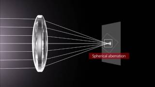 How Lenses Function [upl. by Nostrebor497]