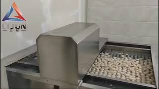 20000pcsh softboiled egg processing line [upl. by Eisoj]