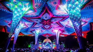 Metronome Live Set  Burning Mountain Festival 2016 [upl. by Dru30]