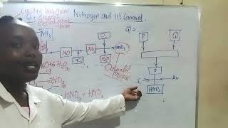 Nitrogen and its compounds Ostwald ProcessIndustrial manufacture of Nitric v acid [upl. by Annaear7]