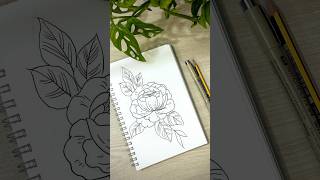 Peony flower drawing rialartist drawing flower [upl. by My]