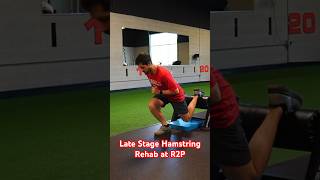 Late Stage Hamstring Rehab These drills require deceleration from a rapid downward acceleration [upl. by Rtoip]