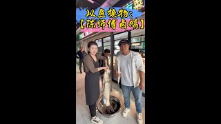 以鱼换饭：大胖头换老板娘半只烧鹅全网都知道他钓到大鱼了快乐钓鱼小谭fishing 熱門 爱生活爱钓鱼 鱼人 [upl. by Otreblada333]