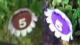 Pikmin 3  Purple and Brown Pellet Posy Glitch [upl. by Nahshon]