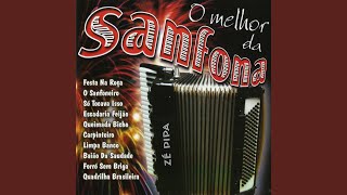 Feijão queimado Instrumental [upl. by Thomas]